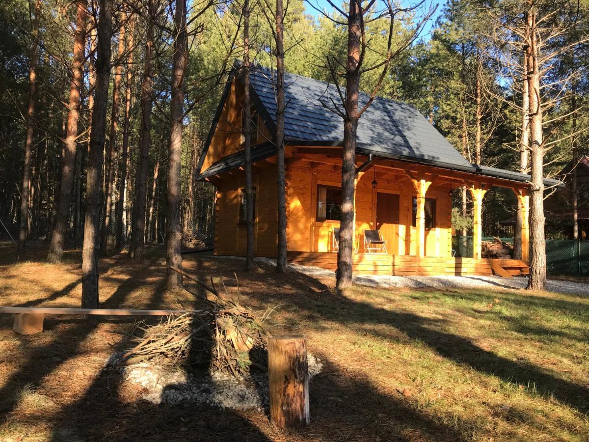 Forest Inn Trzepieciny Exterior foto