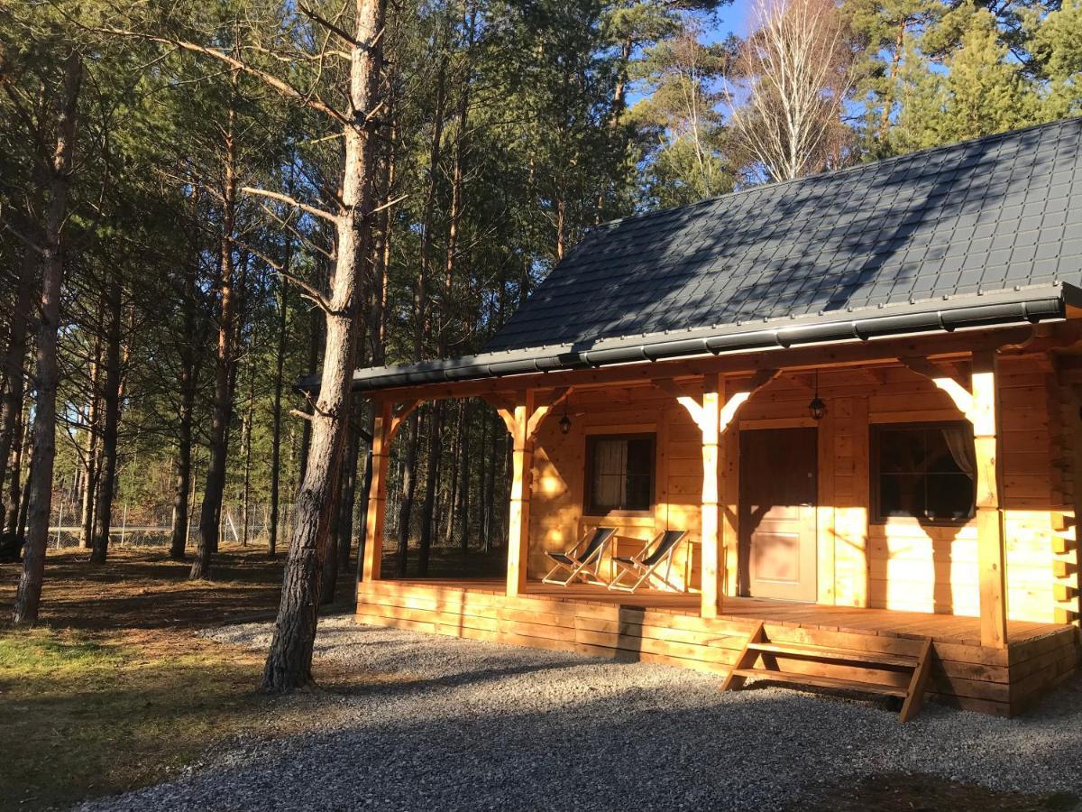 Forest Inn Trzepieciny Exterior foto