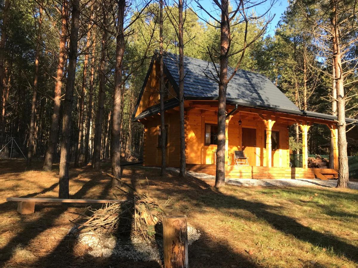 Forest Inn Trzepieciny Exterior foto